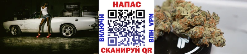 Каннабис ГИДРОПОН  Люберцы 
